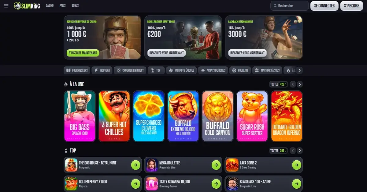 Page d'accueil du casino en ligne Slimking